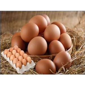 DECORAKTİV EKO 4 MDF STD TV ÜNİTESİ +2 RAF